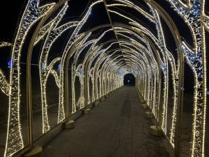 Стопаните получиха 43, 5 млн. лева по НАТУРА 2000 за Кампания 2024