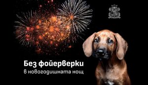 Министър Пешев награди световните шампионки по волейбол