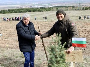 Спиране на сайтове на ИАГ — Изпълнителна агенция по горите