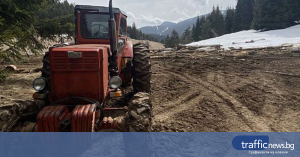 Задържаха дървесина и трактор при незаконна сеч в Смолянско