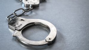 Полицията в Хонконг арестува 3 жени за предполагаема кражба на домашни любимци от 1 милион долара