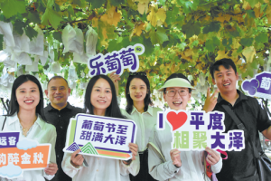 Производственият център Шандонг стимулира регионалното икономическо развитие