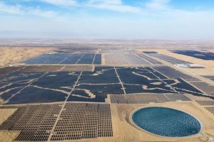 Националният капацитет за рециклиране вече надвишава нуждите