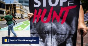 Флорида подновява лова на черна мечка въпреки недоволството