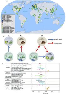 Глобално проучване, ръководено от Шанхай, подкрепя растителното разнообразие в селското стопанство